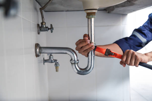 Best Local Plumber Services  in Ortonville, MN